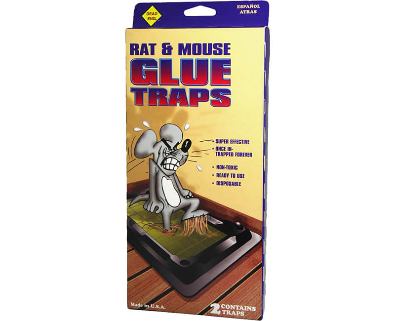 Rat Sized Glue Trap - 2 Pack