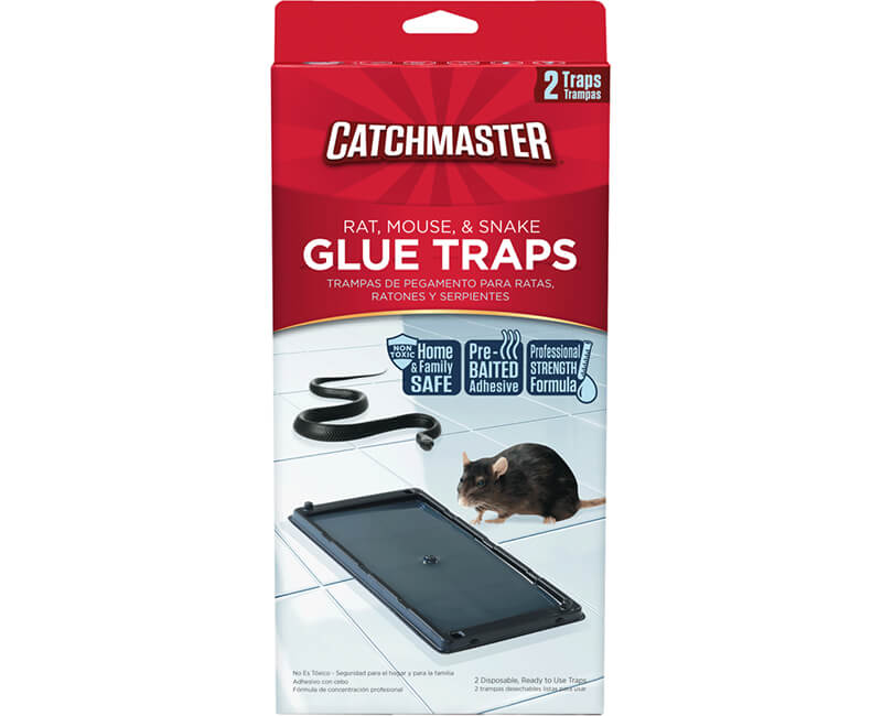 Rat, Mouse & Snake Glue Trap - 2 Pack