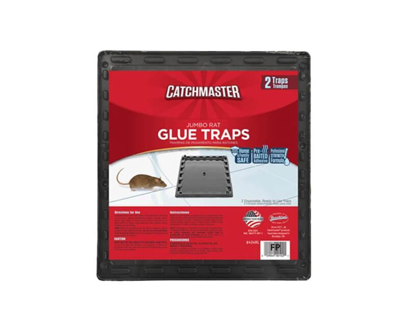Extra Large Rat Tray - 2 Pack