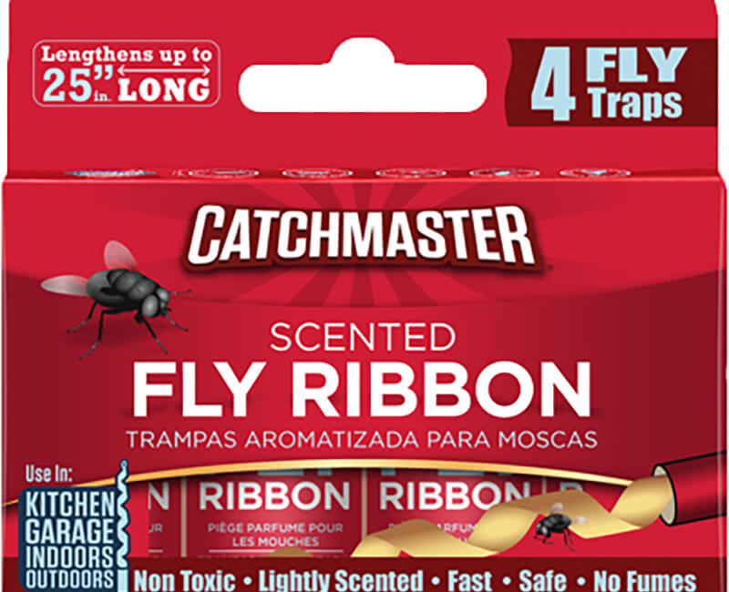 Scented Fly Ribbon - 4 Pack