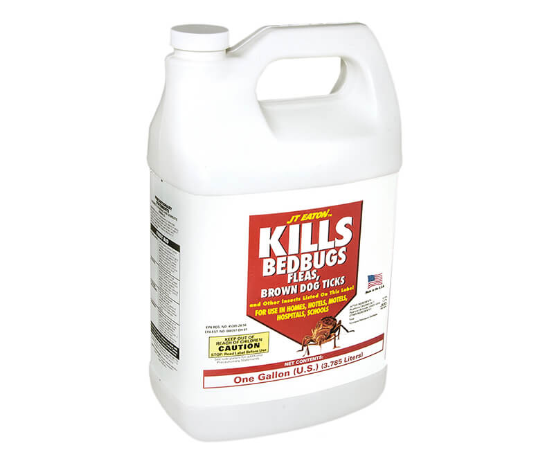 1 Gal. Oil Based Bedbug Killer