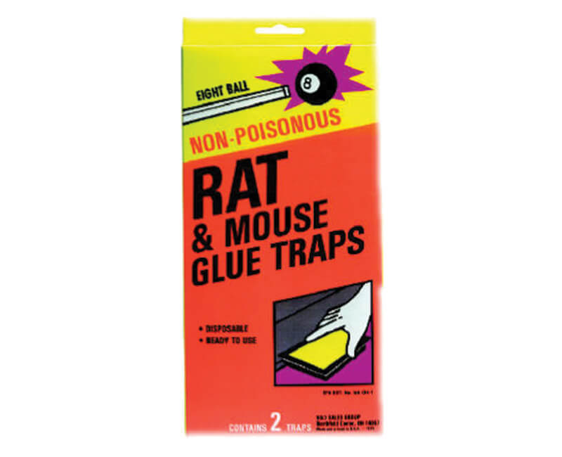 8 Ball Rat Size Glue Traps
