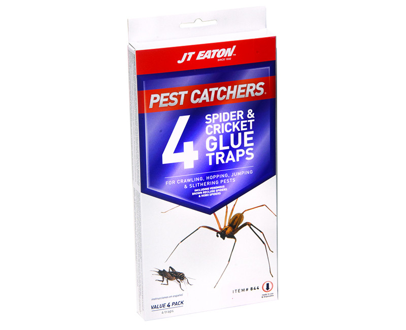Spider & Cricket Glue Trap - 4 Per Pack