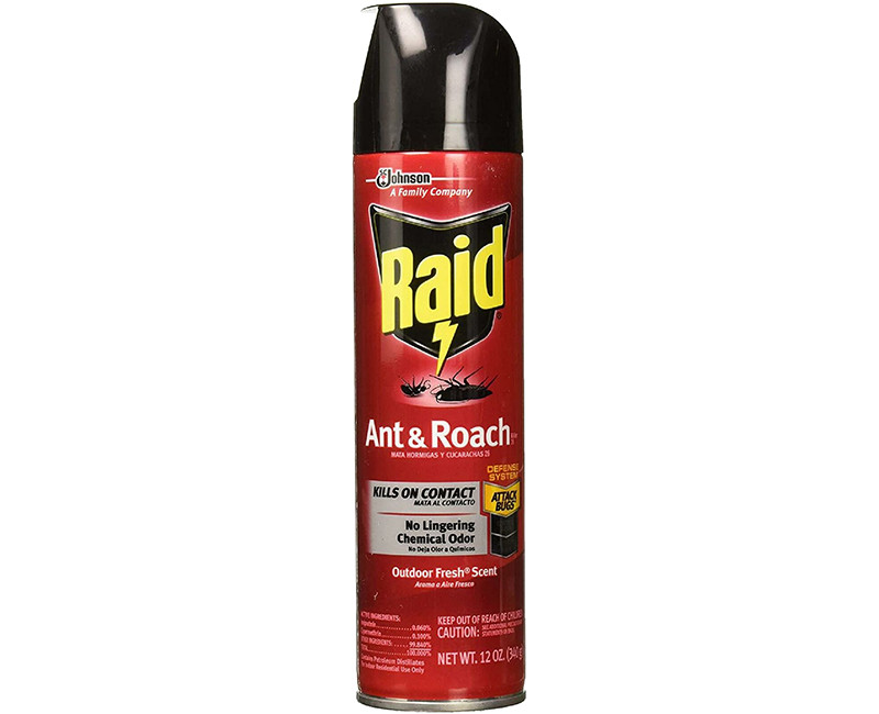 RAID ANT & ROACH 12 OZ - OUTDOOR FRESH