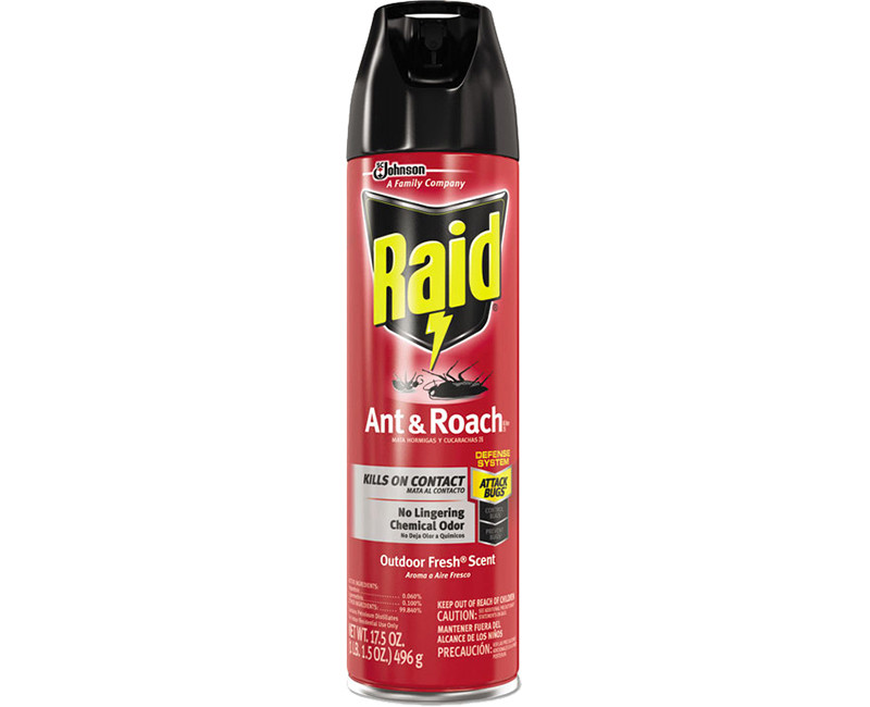 RAID ANT & ROACH 17.5 OZ - OUTDOOR FRESH
