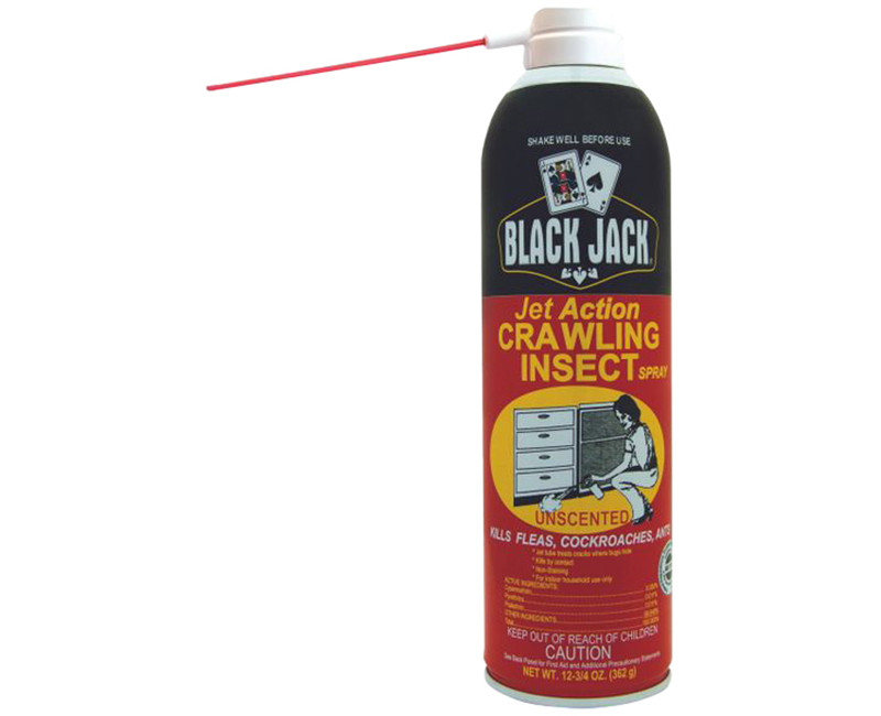 BLACK JACK ACTION CRAWLING INSECT SPRAY 12.75 OZ