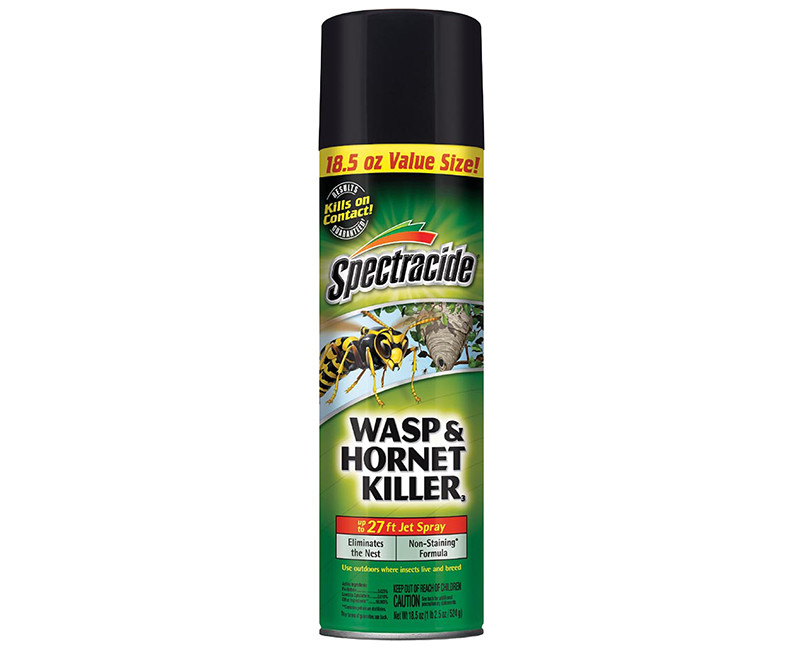 SPECTRACIDE WASP & HORNET KILLER 18.5OZ AEROSOL