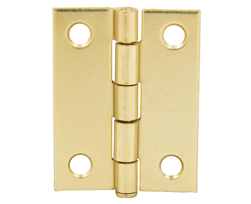 2" Utility Hinge With Screws - Brass Plated