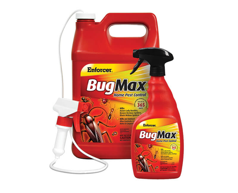 1 GAL. Bugmax Home Pest Control